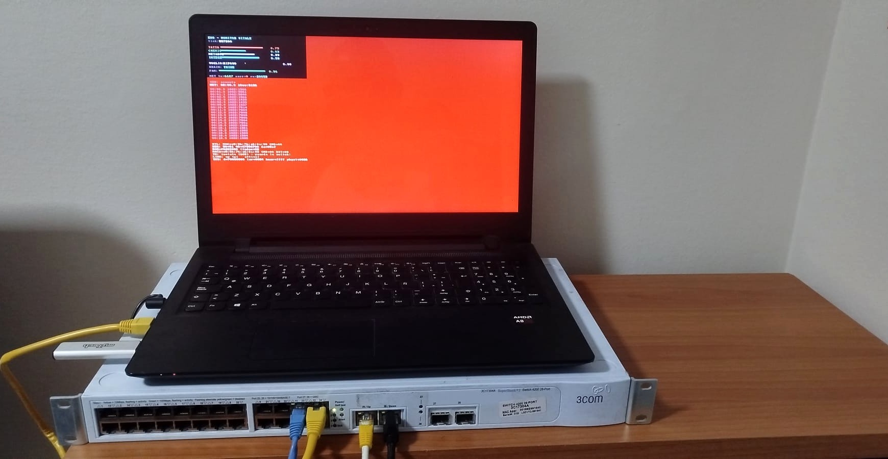 Exo su metallo nudo — un vecchio portatile AMD